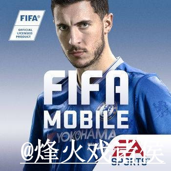 美加墨世界杯外围平台APP和网页版对比，常见问题参考